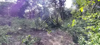 Imagem 4