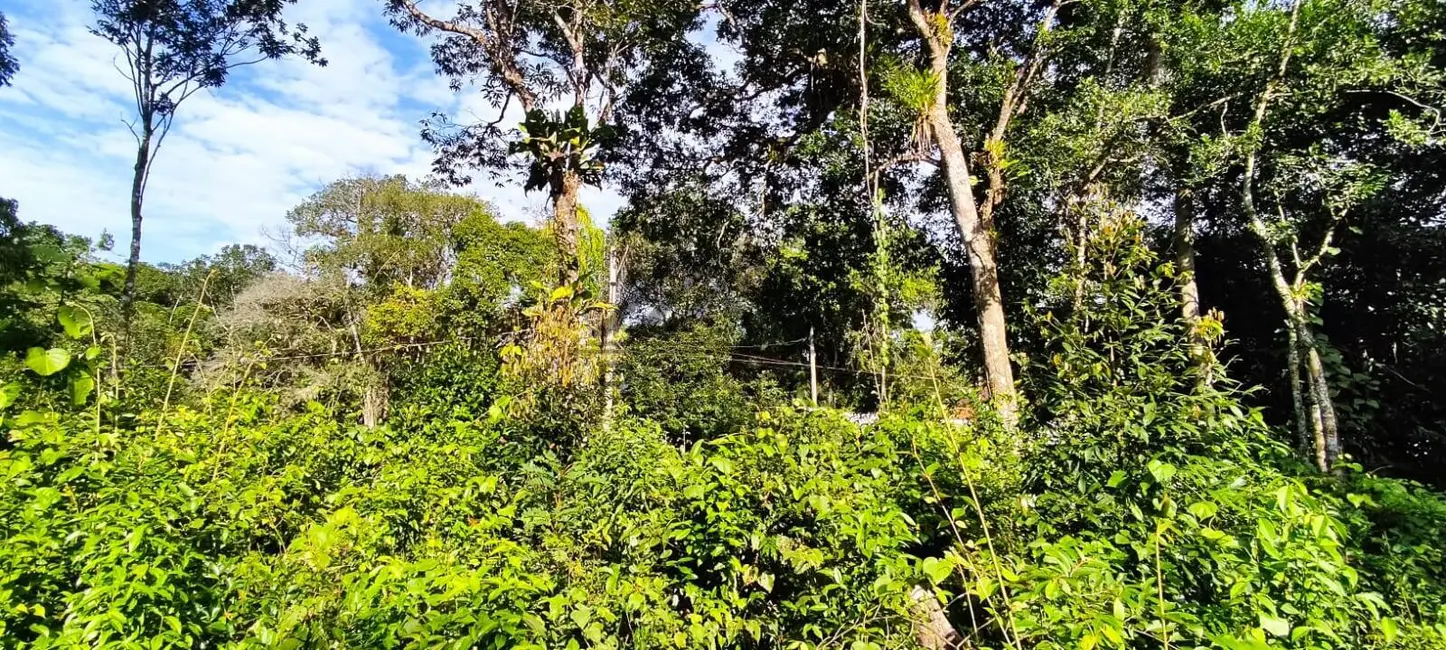 Chácara à venda, 2400m2 em Itanhaem - SP - imagem 2 Foto 2 de Chácara à venda, 2400m2 em Itanhaem - SP
