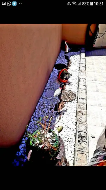 Foto 5 de Casa com 2 quartos à venda, 150m2 em Itanhaem - SP