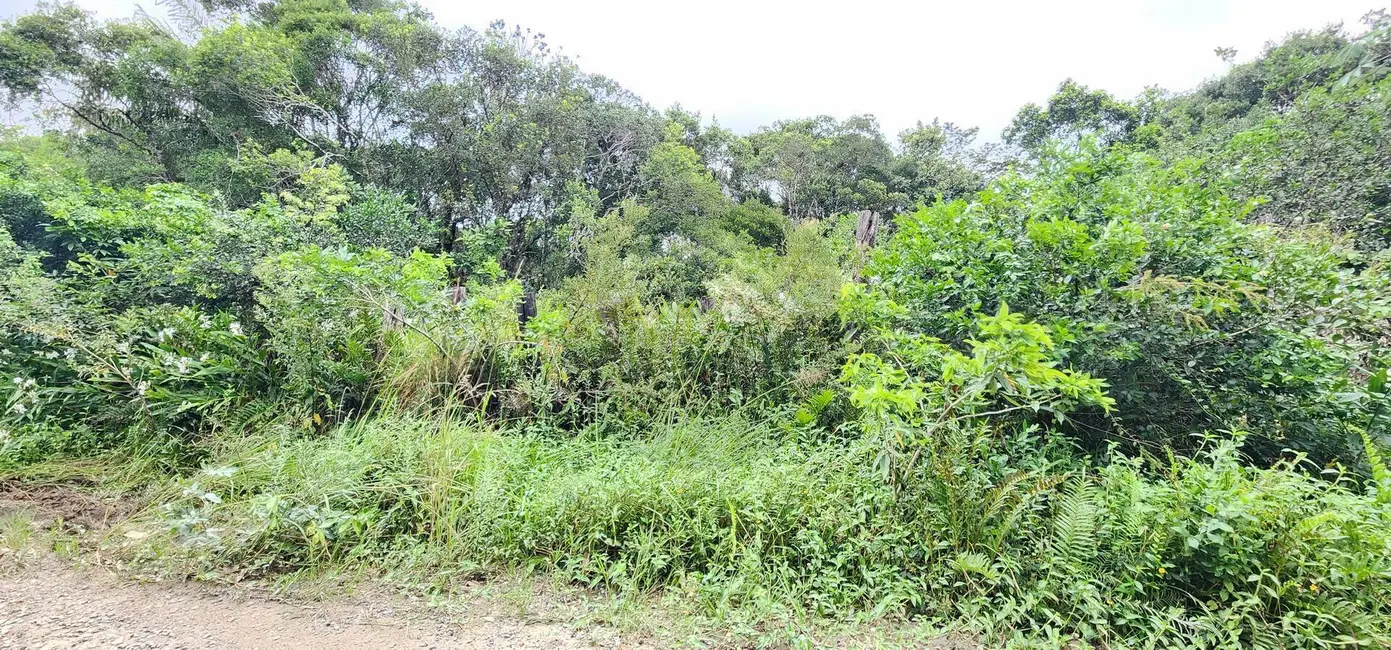 Foto 3 de Terreno / Lote à venda, 7000m2 em Itanhaem - SP