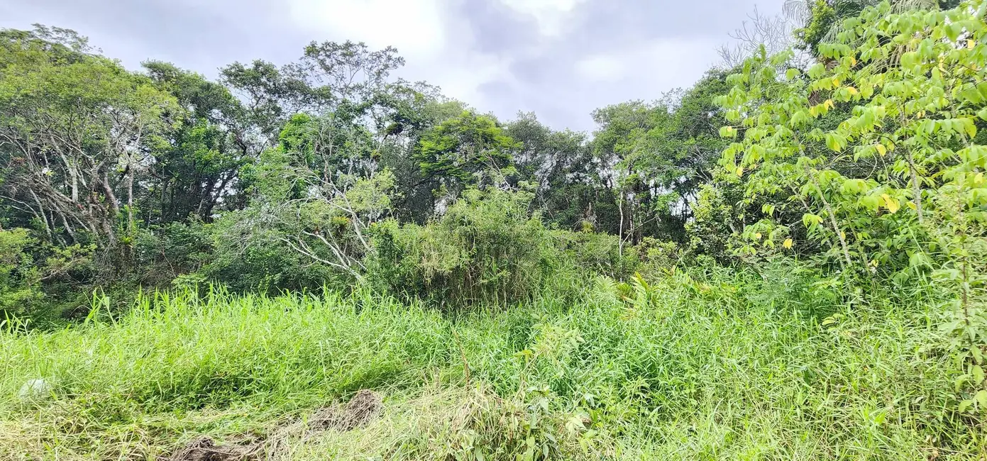 Foto 4 de Terreno / Lote à venda, 7000m2 em Itanhaem - SP