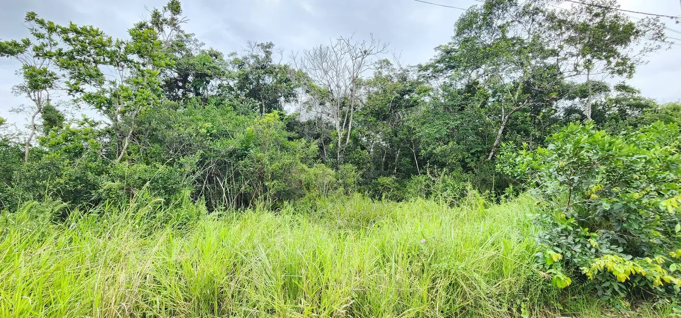 Foto 2 de Terreno / Lote à venda, 7000m2 em Itanhaem - SP