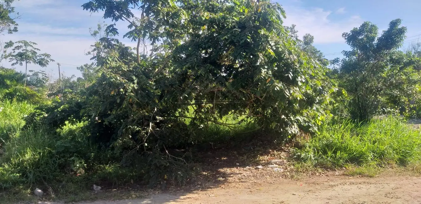 Foto 3 de Terreno / Lote à venda, 250m2 em Itanhaem - SP