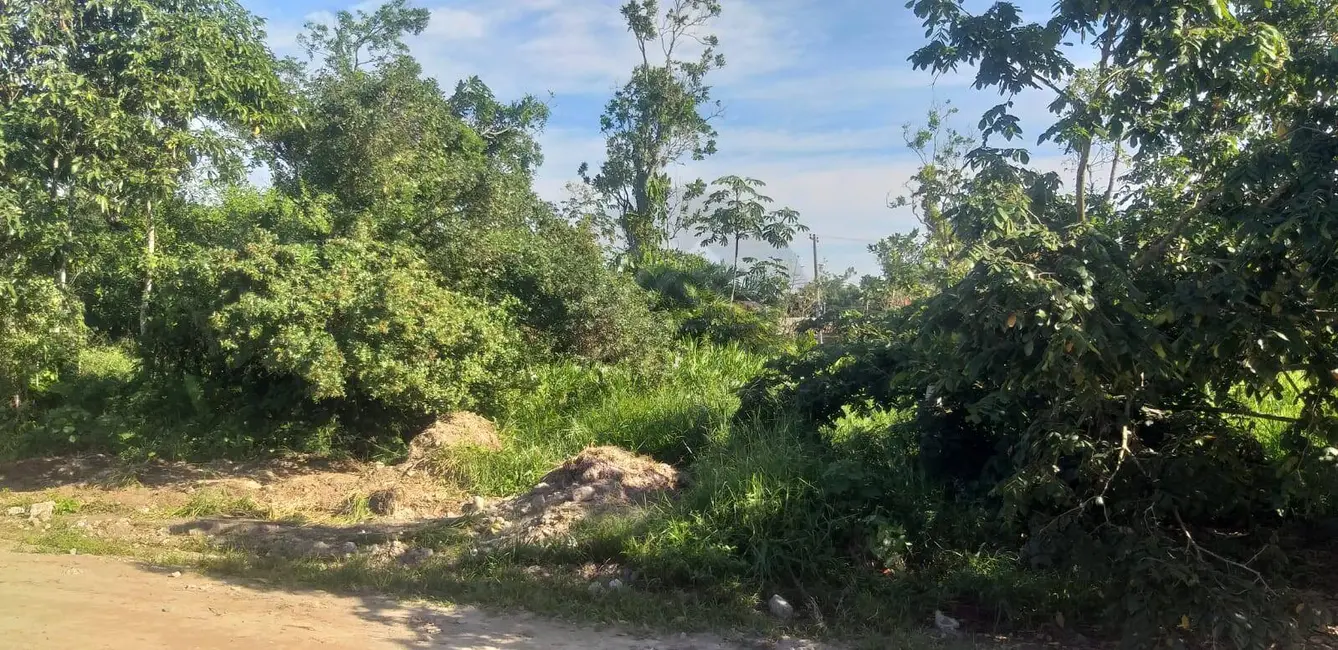 Foto 2 de Terreno / Lote à venda, 250m2 em Itanhaem - SP