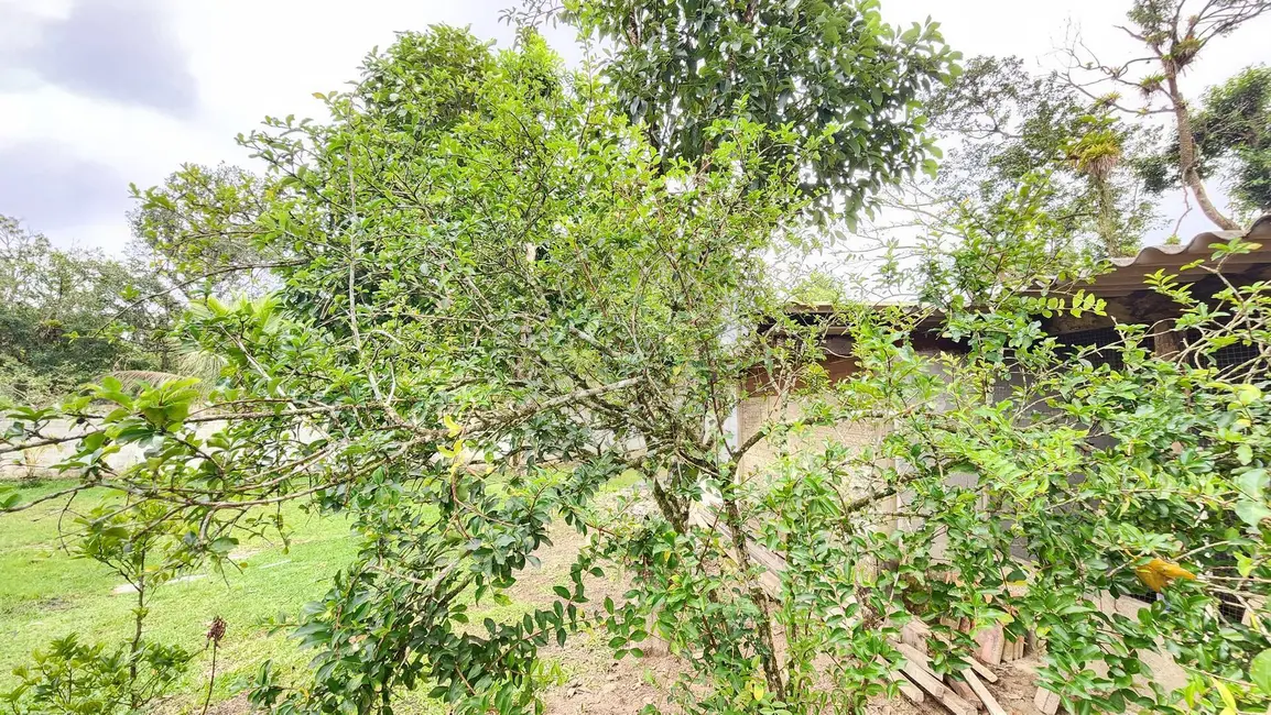 Chácara com 3 quartos à venda, 955m2 em Itanhaem - SP - imagem 4 Foto 4 de Chácara com 3 quartos à venda, 955m2 em Itanhaem - SP