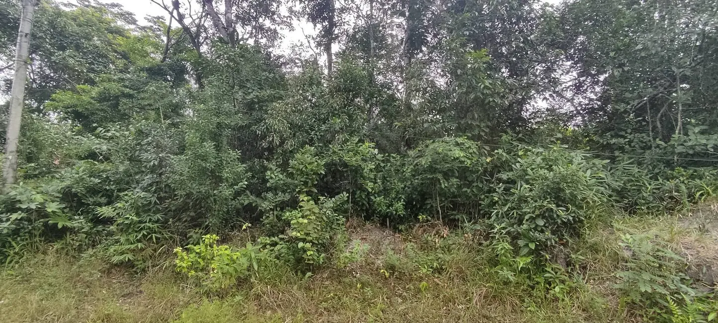 Foto 1 de Terreno / Lote à venda, 280m2 em Itanhaem - SP