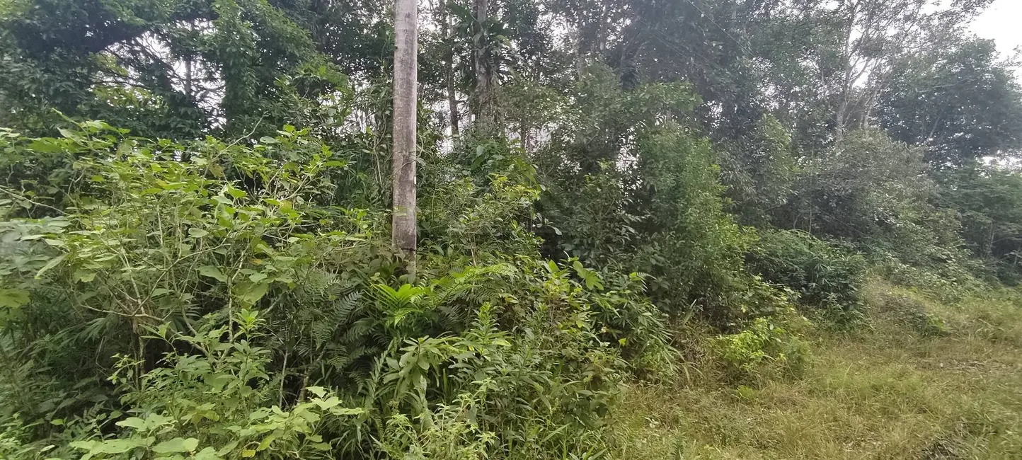Terreno / Lote à venda, 280m2 em Itanhaem - SP - imagem 3 Foto 3 de Terreno / Lote à venda, 280m2 em Itanhaem - SP