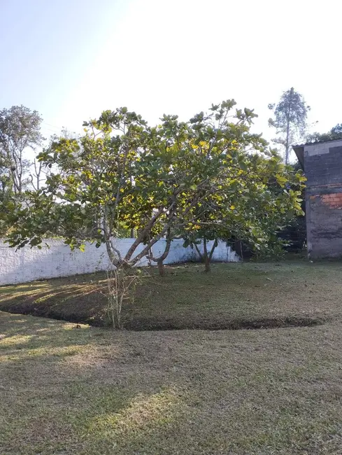 Chácara com 2 quartos à venda, 1825m2 em Itanhaem - SP - imagem 5 Foto 5 de Chácara com 2 quartos à venda, 1825m2 em Itanhaem - SP