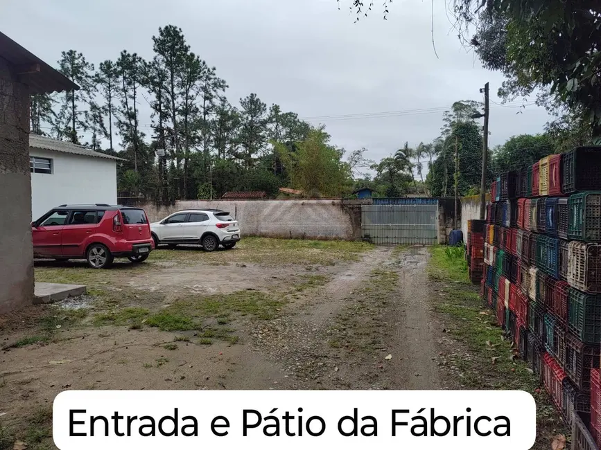 Chácara com 3 quartos à venda, 3000m2 em Itanhaem - SP - imagem 9 Foto 9 de Chácara com 3 quartos à venda, 3000m2 em Itanhaem - SP