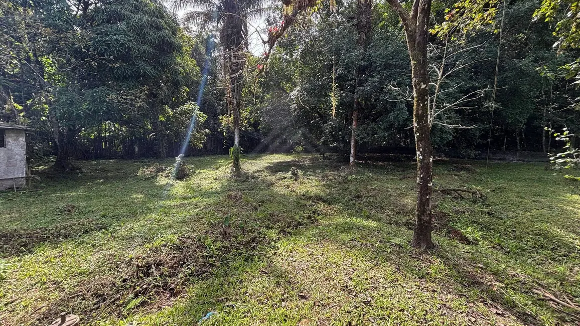 Chácara com 3 quartos à venda, 3650m2 em Itanhaem - SP - imagem 4 Foto 4 de Chácara com 3 quartos à venda, 3650m2 em Itanhaem - SP