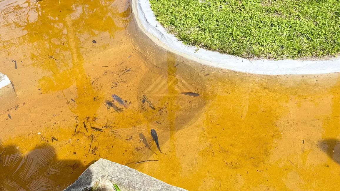 Foto 2 de Chácara com 3 quartos à venda, 3650m2 em Itanhaem - SP