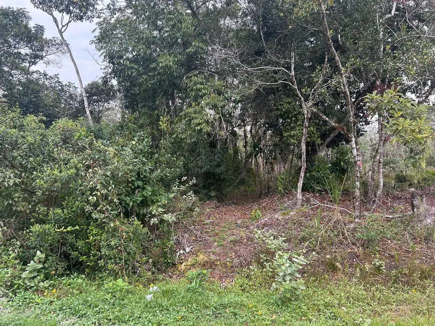 Foto 3 de Terreno / Lote à venda, 2400m2 em Itanhaem - SP