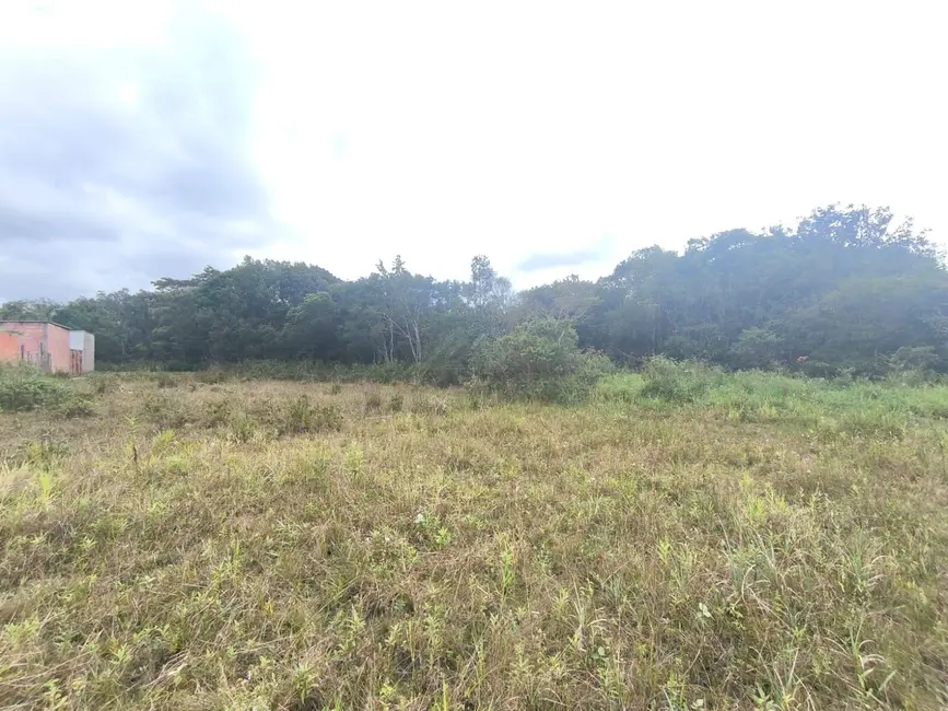 Terreno / Lote à venda, 560m2 em Itanhaem - SP - imagem 1 Foto 1 de Terreno / Lote à venda, 560m2 em Itanhaem - SP