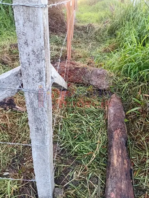 Foto 7 de Terreno / Lote à venda, 378m2 em Itapoa - SC