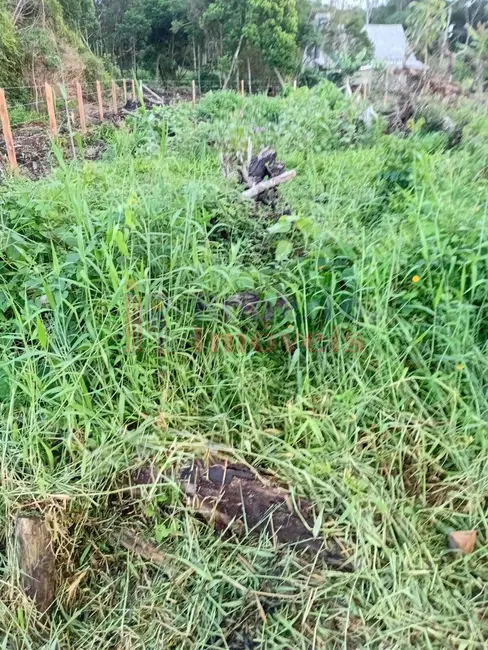 Foto 5 de Terreno / Lote à venda, 378m2 em Itapoa - SC