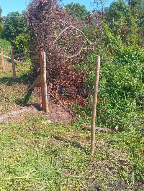 Foto 4 de Terreno / Lote à venda, 378m2 em Itapoa - SC