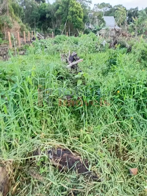 Foto 6 de Terreno / Lote à venda, 378m2 em Itapoa - SC