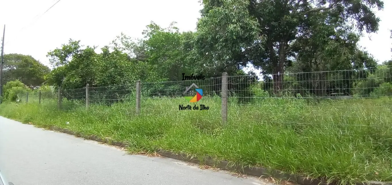 Terreno / Lote à venda, 15000m2 em Ponta das Canas, Florianopolis - SC - imagem 8 Foto 8 de Terreno / Lote à venda, 15000m2 em Ponta das Canas, Florianopolis - SC
