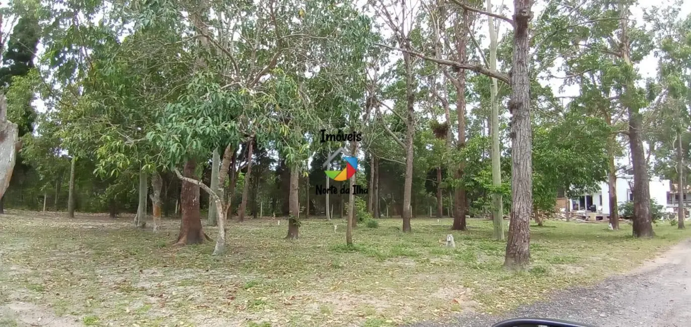 Terreno / Lote à venda, 15000m2 em Ponta das Canas, Florianopolis - SC - imagem 6 Foto 6 de Terreno / Lote à venda, 15000m2 em Ponta das Canas, Florianopolis - SC