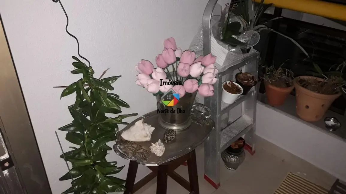 Apartamento com 2 quartos à venda, 65m2 em Cachoeira do Bom Jesus, Florianopolis - SC - imagem 7 Foto 7 de Apartamento com 2 quartos à venda, 65m2 em Cachoeira do Bom Jesus, Florianopolis - SC