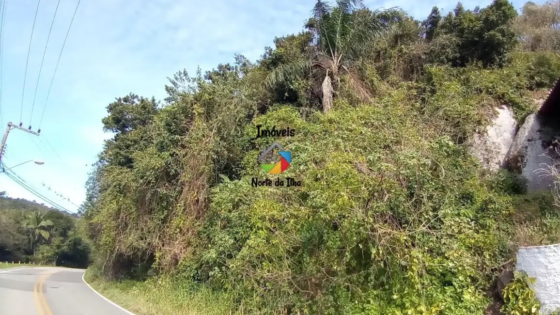 Terreno / Lote à venda, 500m2 em Ponta das Canas, Florianopolis - SC - imagem 4 Foto 4 de Terreno / Lote à venda, 500m2 em Ponta das Canas, Florianopolis - SC