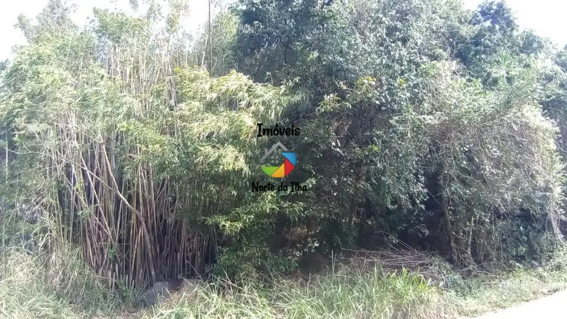 Terreno / Lote à venda, 500m2 em Ponta das Canas, Florianopolis - SC - imagem 3 Foto 3 de Terreno / Lote à venda, 500m2 em Ponta das Canas, Florianopolis - SC