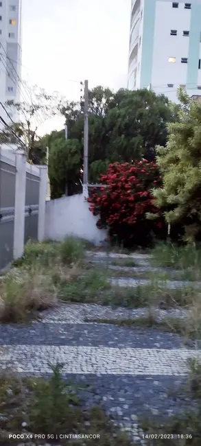 Casa com 4 quartos para alugar em Parque Tamandaré, Campos Dos Goytacazes - RJ - imagem 3 Foto 3 de Casa com 4 quartos para alugar em Parque Tamandaré, Campos Dos Goytacazes - RJ