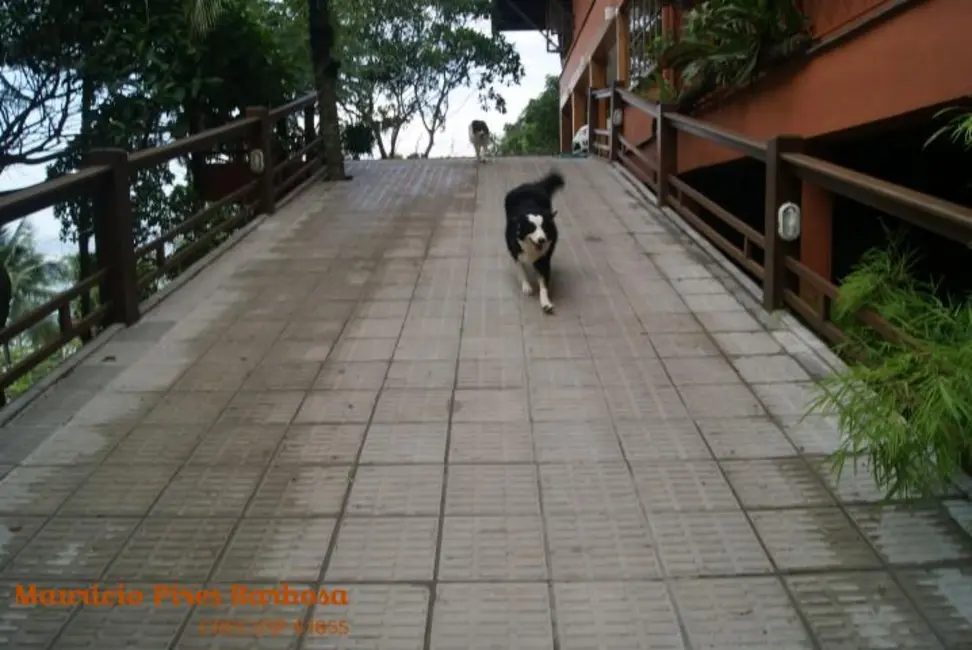 Foto 6 de Casa com 8 quartos à venda, 854m2 em Ilhabela - SP