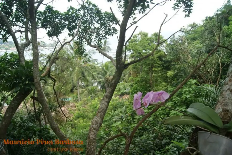 Foto 3 de Casa com 8 quartos à venda, 854m2 em Ilhabela - SP