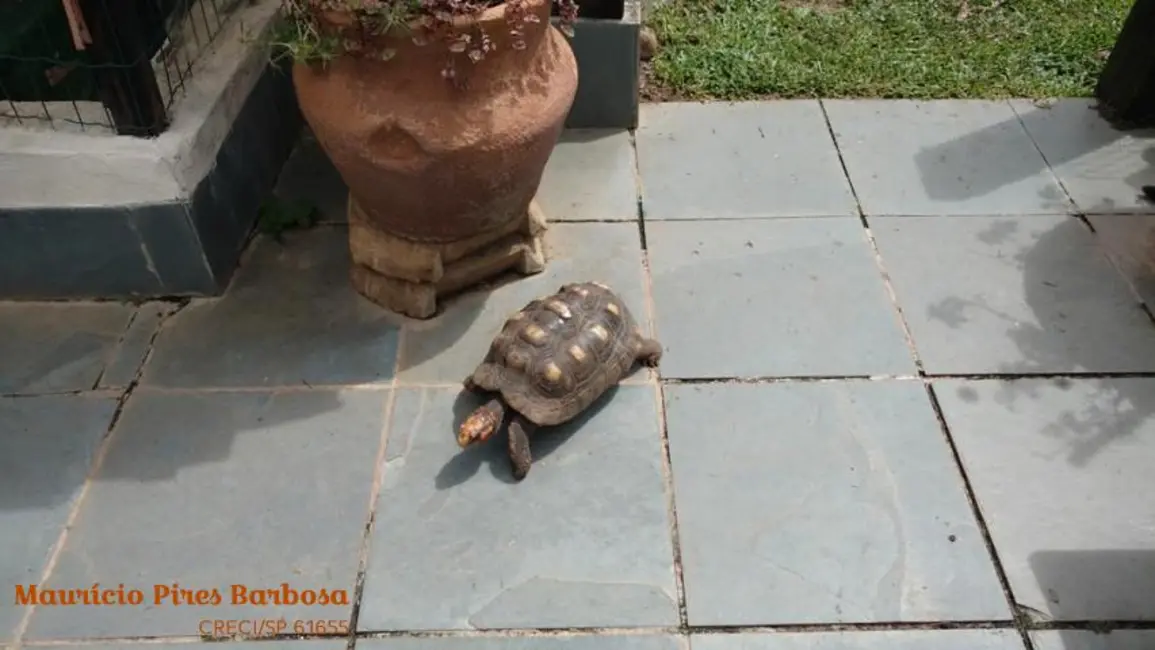 Foto 3 de Casa com 3 quartos à venda, 249m2 em Ilhabela - SP