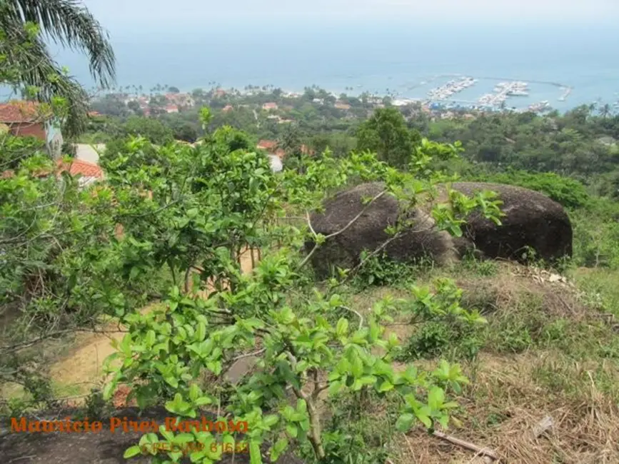 Foto 9 de Terreno / Lote à venda, 12217m2 em Ilhabela - SP