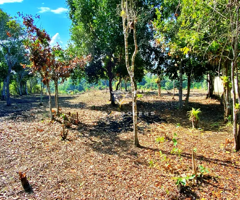 Foto 6 de Terreno / Lote à venda, 600m2 em Porto Seguro - BA