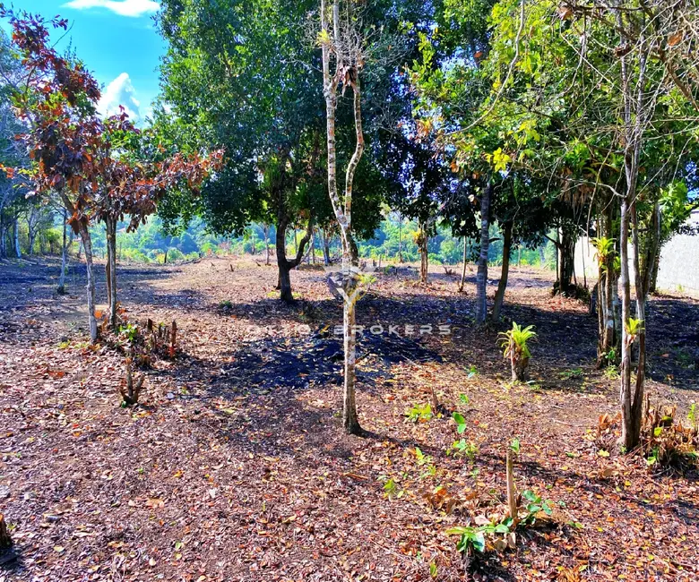 Foto 5 de Terreno / Lote à venda, 600m2 em Porto Seguro - BA