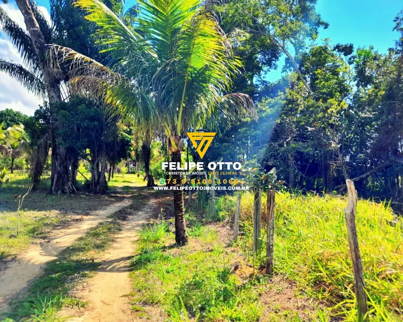 Foto 7 de Sítio / Rancho com 2 quartos à venda, 80000m2 em Santa Cruz Cabralia - BA