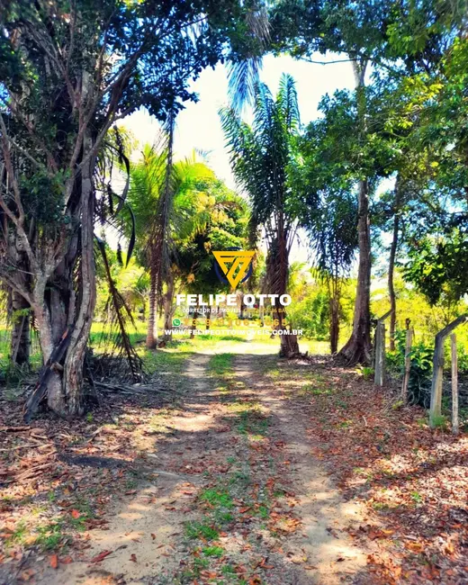 Foto 8 de Sítio / Rancho com 2 quartos à venda, 80000m2 em Santa Cruz Cabralia - BA