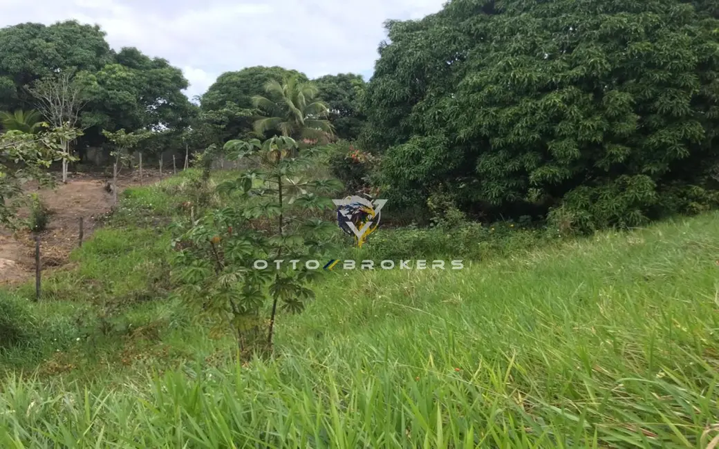 Terreno / Lote à venda, 7500m2 em Santa Cruz Cabralia - BA - imagem 8 Foto 8 de Terreno / Lote à venda, 7500m2 em Santa Cruz Cabralia - BA