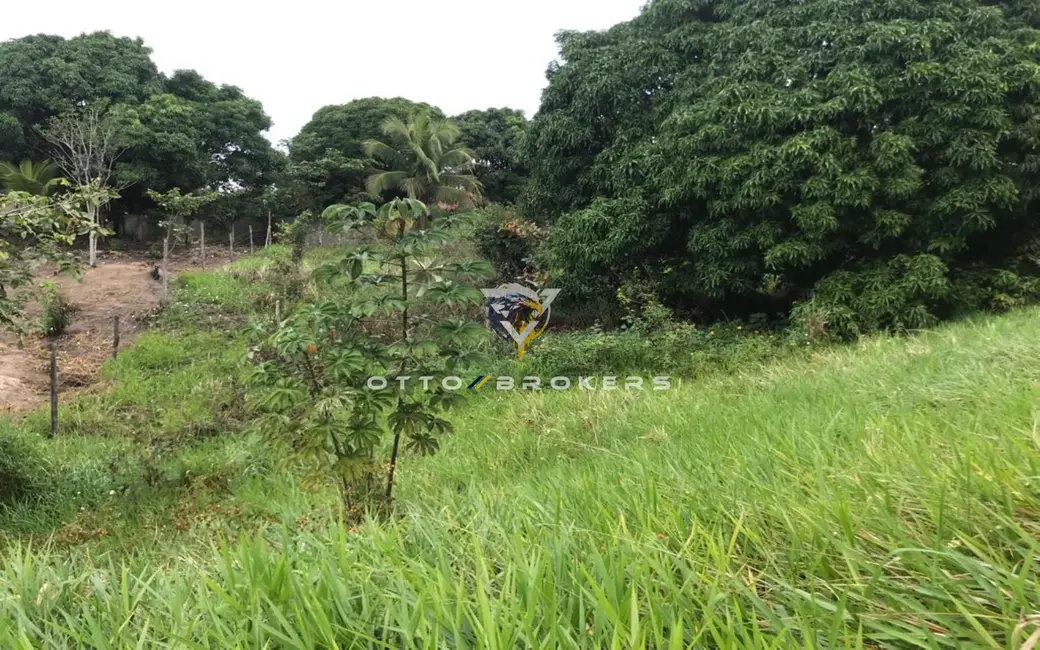 Terreno / Lote à venda, 7500m2 em Santa Cruz Cabralia - BA - imagem 7 Foto 7 de Terreno / Lote à venda, 7500m2 em Santa Cruz Cabralia - BA