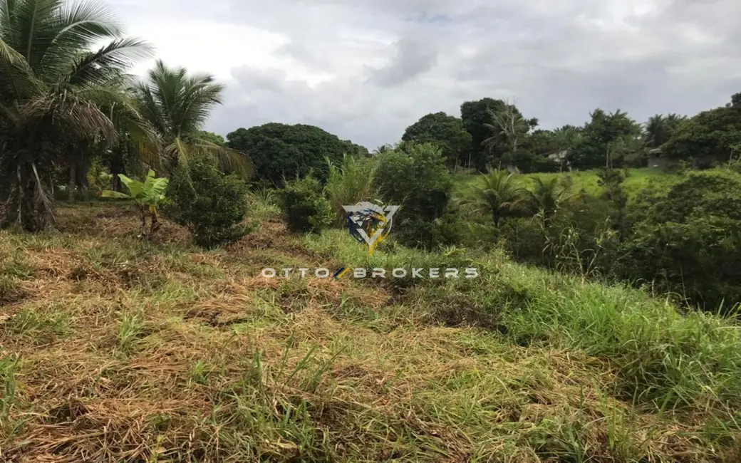 Terreno / Lote à venda, 7500m2 em Santa Cruz Cabralia - BA - imagem 4 Foto 4 de Terreno / Lote à venda, 7500m2 em Santa Cruz Cabralia - BA