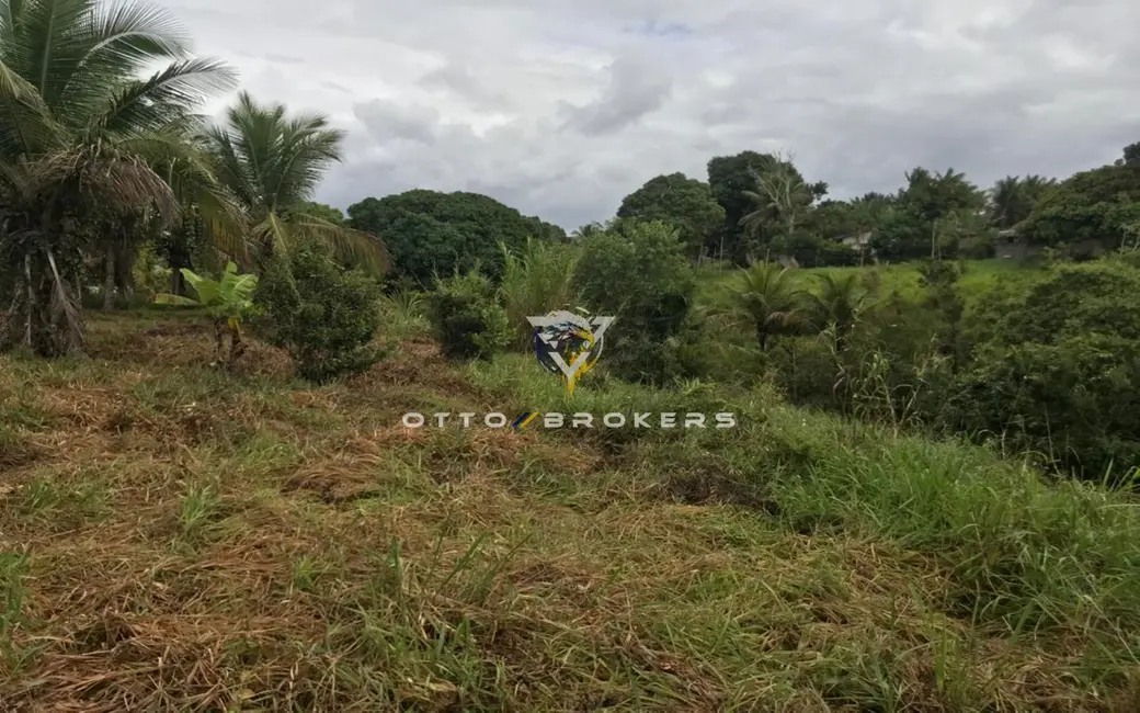 Terreno / Lote à venda, 7500m2 em Santa Cruz Cabralia - BA - imagem 5 Foto 5 de Terreno / Lote à venda, 7500m2 em Santa Cruz Cabralia - BA