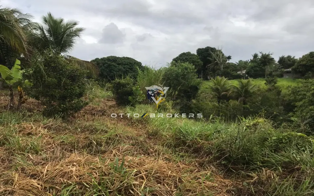 Terreno / Lote à venda, 7500m2 em Santa Cruz Cabralia - BA - imagem 3 Foto 3 de Terreno / Lote à venda, 7500m2 em Santa Cruz Cabralia - BA