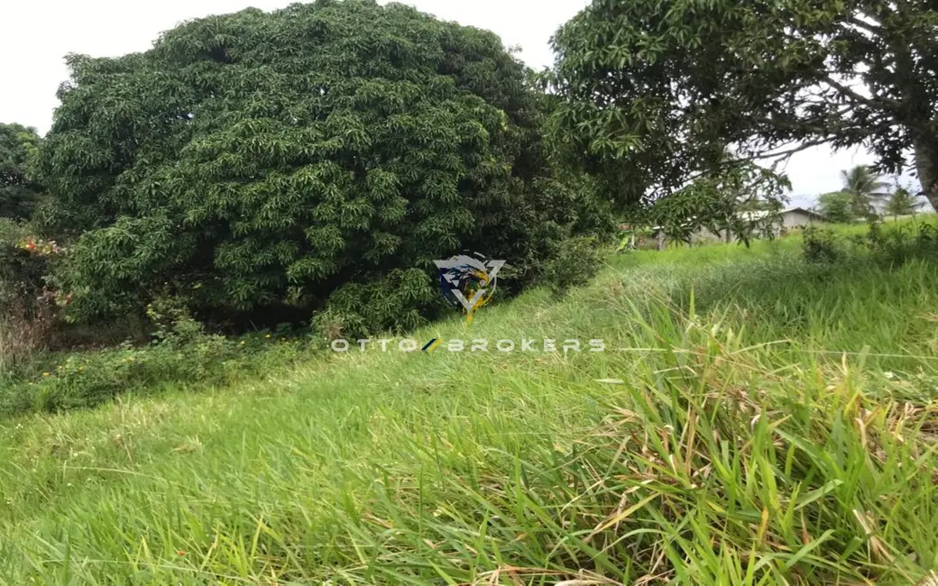 Terreno / Lote à venda, 7500m2 em Santa Cruz Cabralia - BA - imagem 9 Foto 9 de Terreno / Lote à venda, 7500m2 em Santa Cruz Cabralia - BA