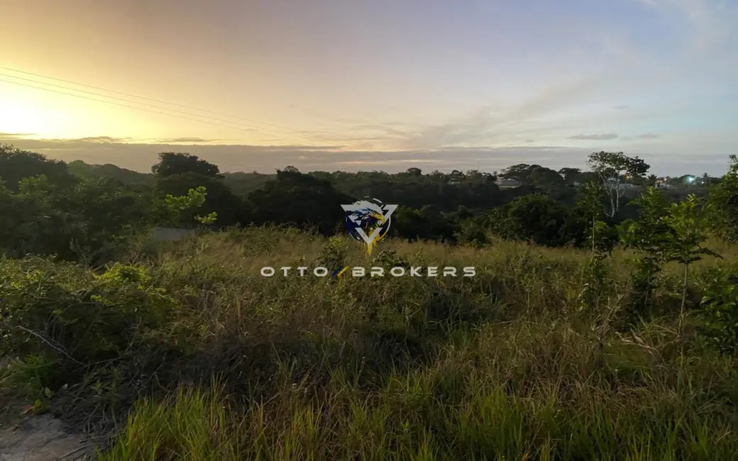 Terreno / Lote à venda, 300m2 em Santa Cruz Cabralia - BA - imagem 9 Foto 9 de Terreno / Lote à venda, 300m2 em Santa Cruz Cabralia - BA