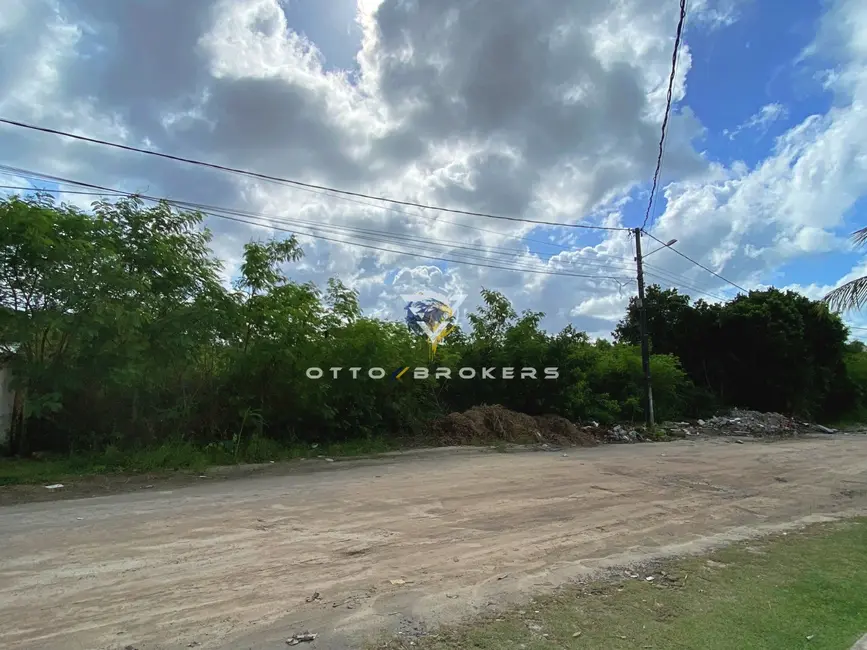 Terreno / Lote à venda, 3700m2 em Santa Cruz Cabralia - BA - imagem 3 Foto 3 de Terreno / Lote à venda, 3700m2 em Santa Cruz Cabralia - BA