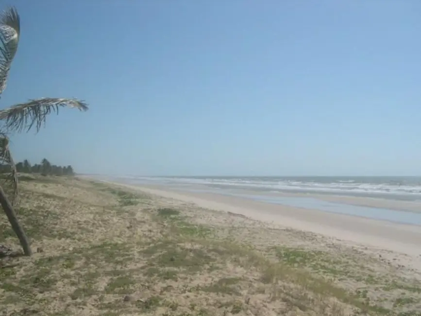 Foto 4 de Fazenda / Haras à venda, 350m2 em Jandaira - BA