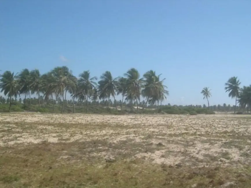 Foto 8 de Fazenda / Haras à venda, 350m2 em Jandaira - BA
