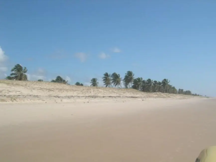 Foto 6 de Fazenda / Haras à venda, 350m2 em Jandaira - BA