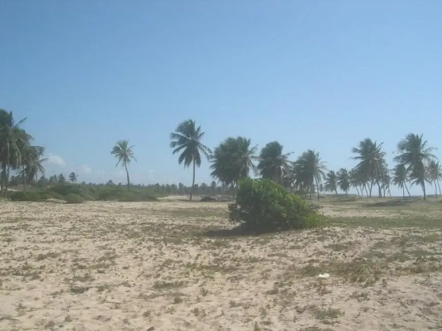 Foto 9 de Fazenda / Haras à venda, 350m2 em Jandaira - BA