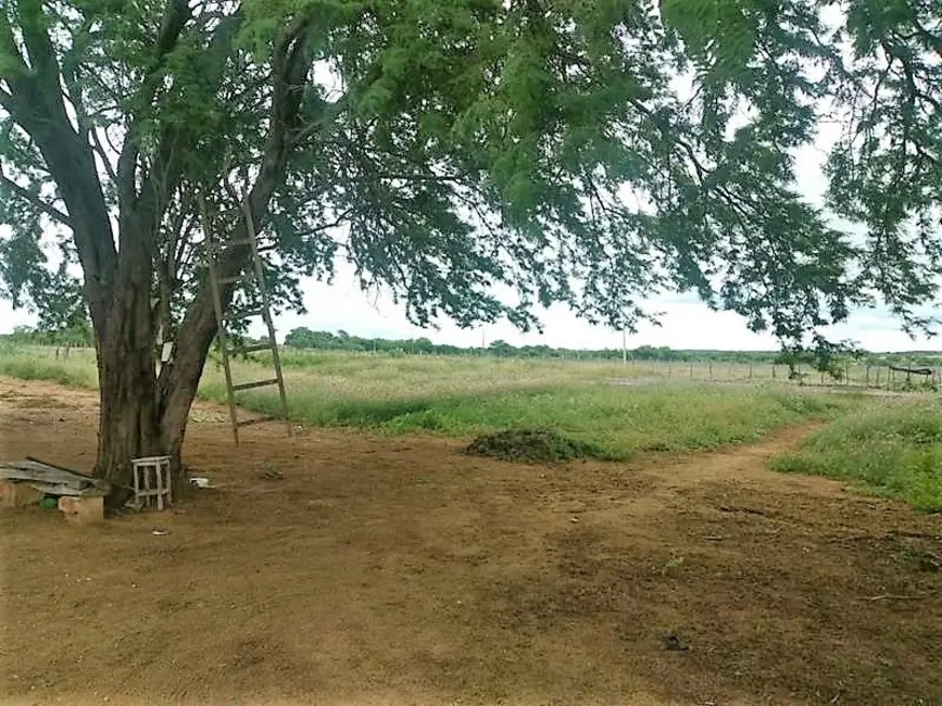 Foto 6 de Fazenda / Haras com 3 quartos à venda, 300m2 em Tucano - BA