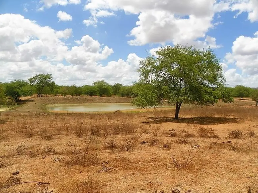 Foto 8 de Fazenda / Haras com 3 quartos à venda, 300m2 em Tucano - BA