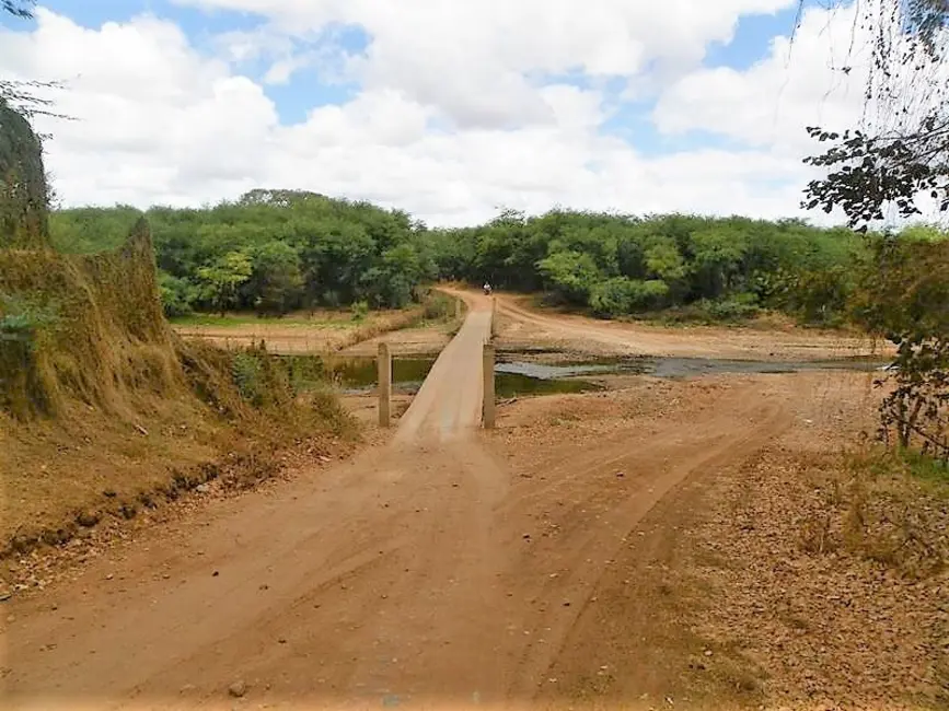 Foto 5 de Fazenda / Haras com 3 quartos à venda, 300m2 em Tucano - BA